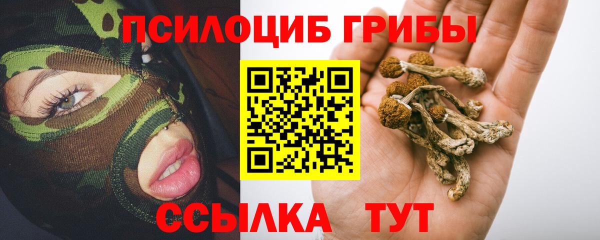 Псилоцибиновые грибы прущие грибы  Вход с VPN  Аша 